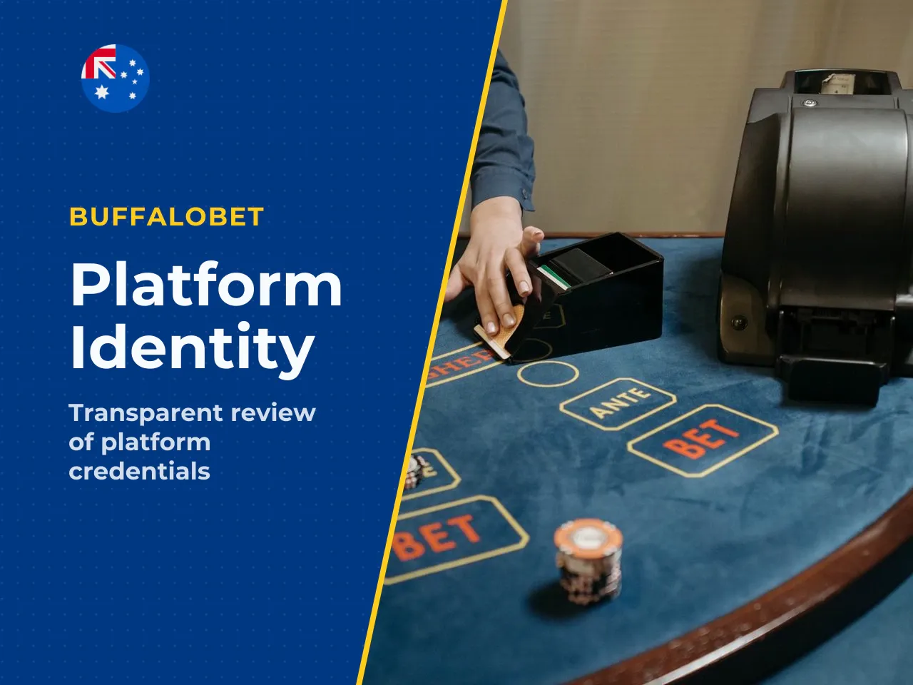 3.1 Platform identity, licensing and positioning