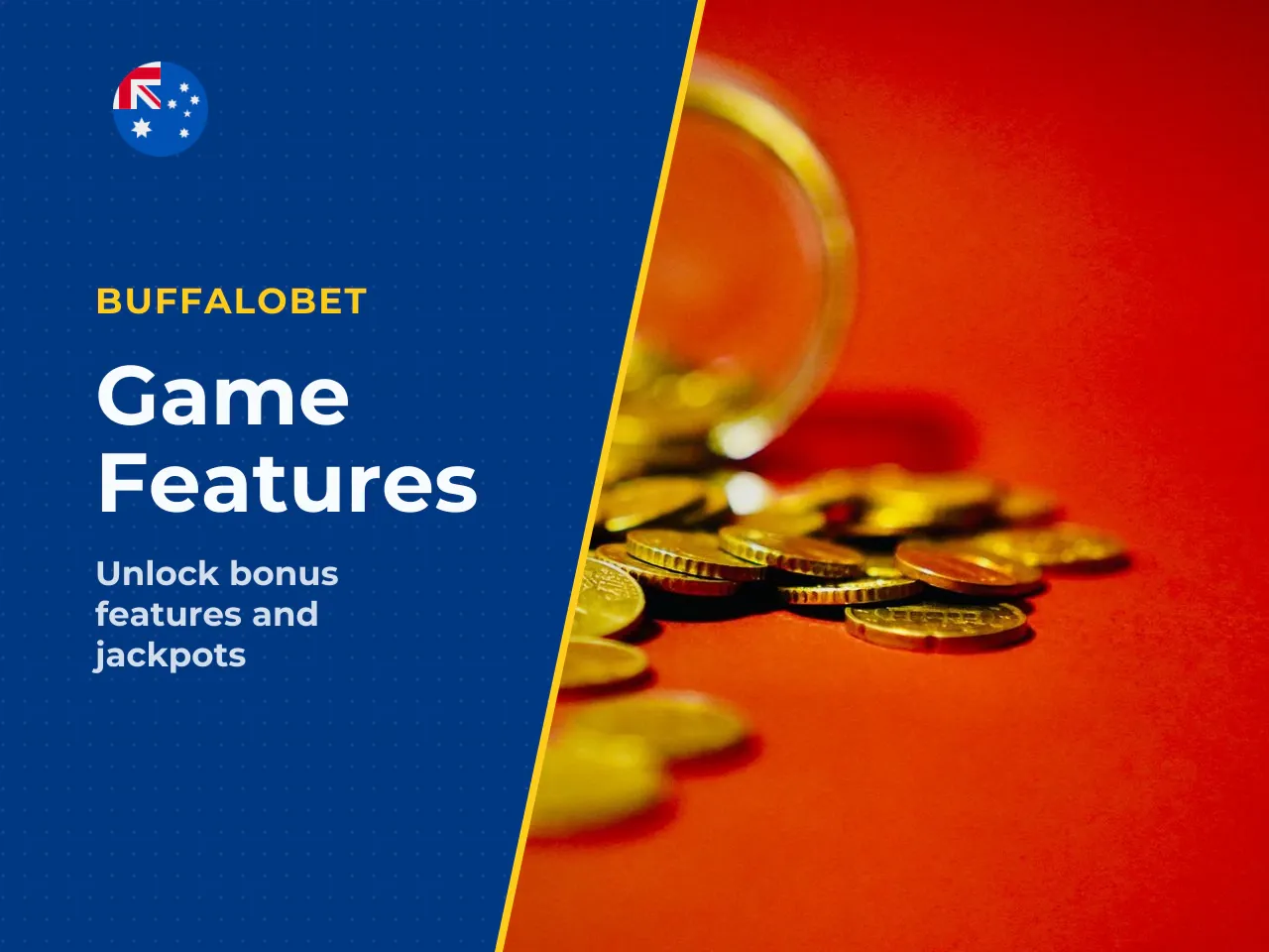 Game functions paylines, coins and wilds