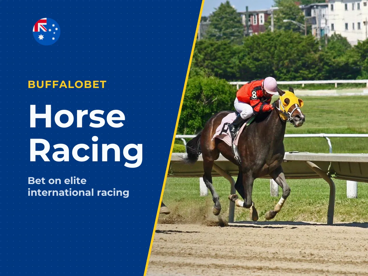 Horse racing, international racing and Same